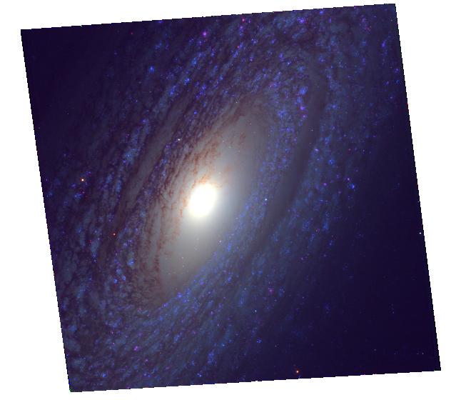 HLA WFC3 UVIS image of NGC 2841 from data in three filters