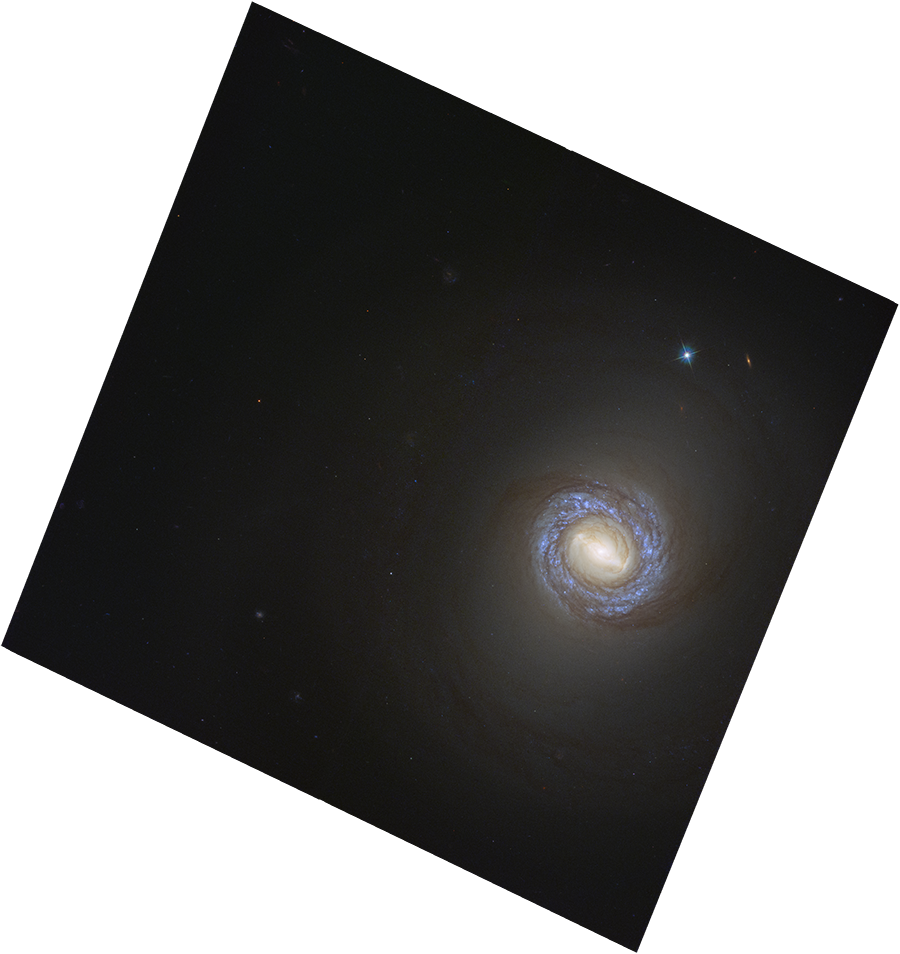NGC 1317 Mosaic
