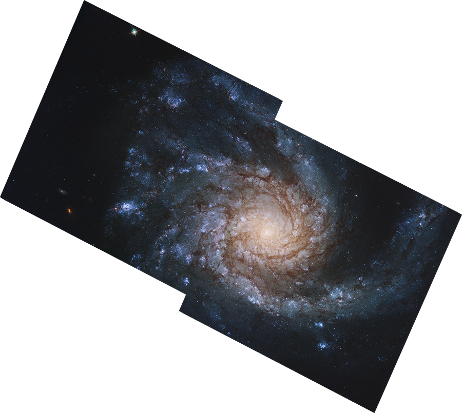 NGC 4254 Mosaic