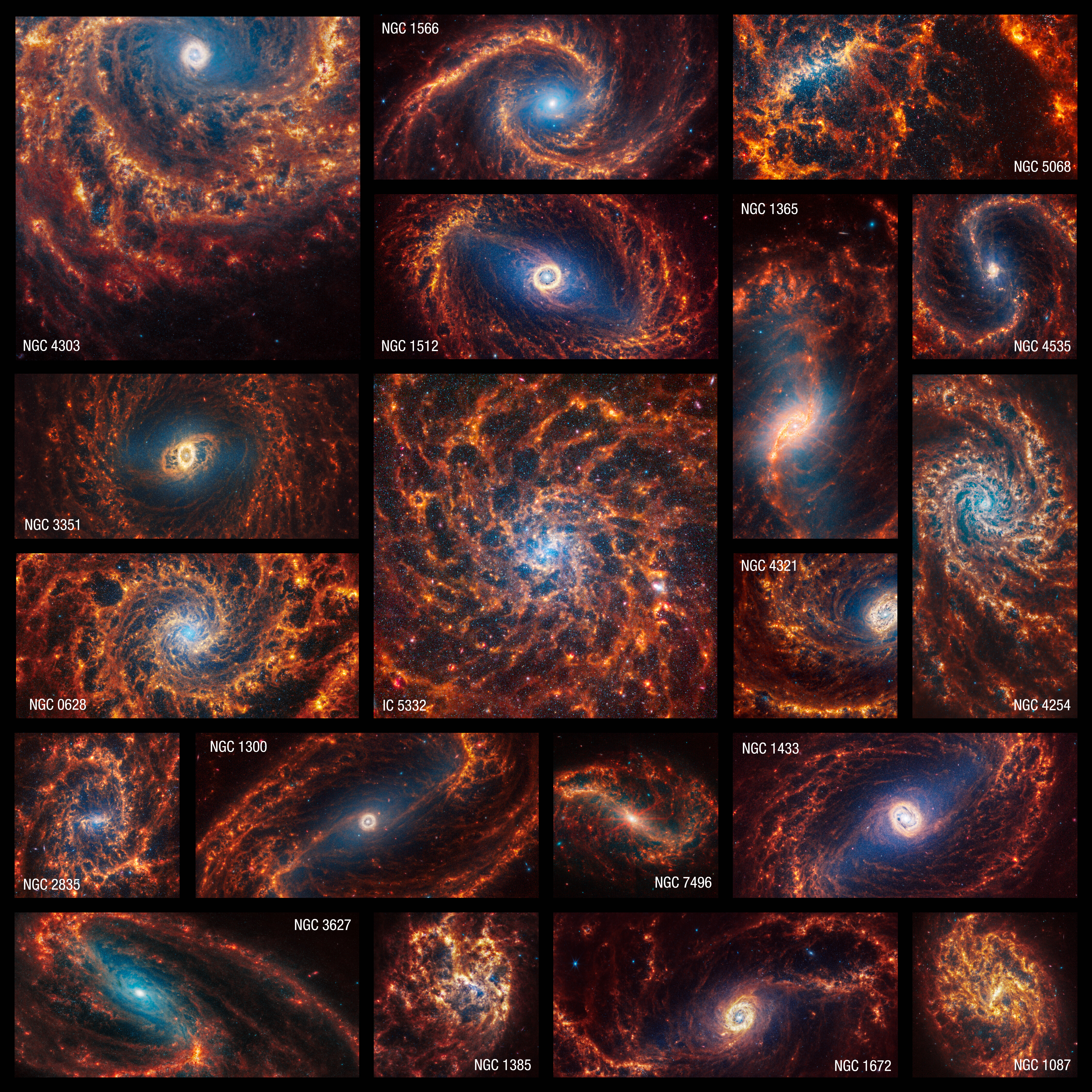 PHANGS image mosaic of 19 face-on spiral galaxies. MIRI shows the glowing dust, making it look as though the galaxies are made of filaments of swiss cheese, with many holes in each.