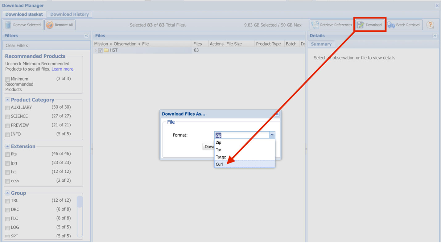 This screenshot shows the "Download File As..." overlay with the Download button highlighted in a red box. There is a red arrow pointing from the box to the overlay, where "Curl" is highlighted.