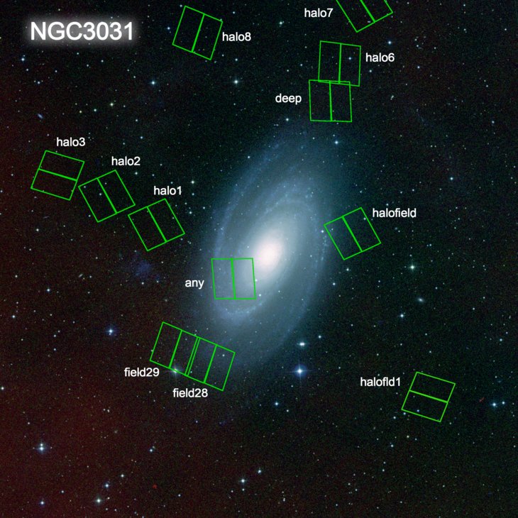 NGC3031