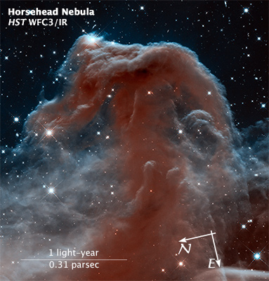 image showing orientation and scale of image