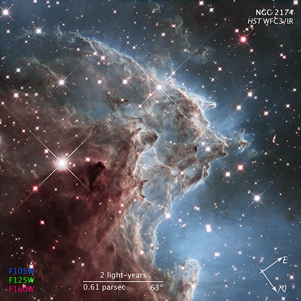 image showing orientation and scale of image