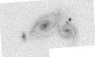 Arp274 B-band preview