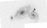Arp274 V-band preview